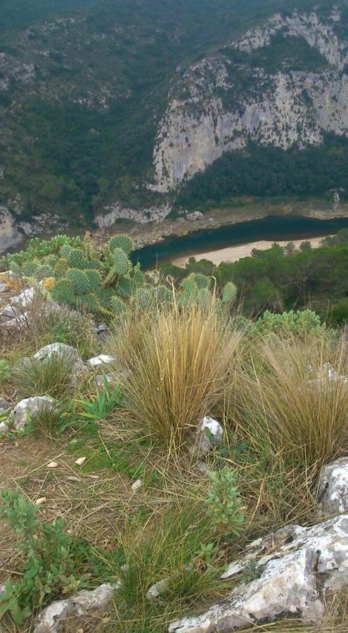 דירות Collias Entre Uzes Et Le Pont Du Gard Le Cocon De Sophia A Deux Pas Des Gorges Du Gardon מראה חיצוני תמונה